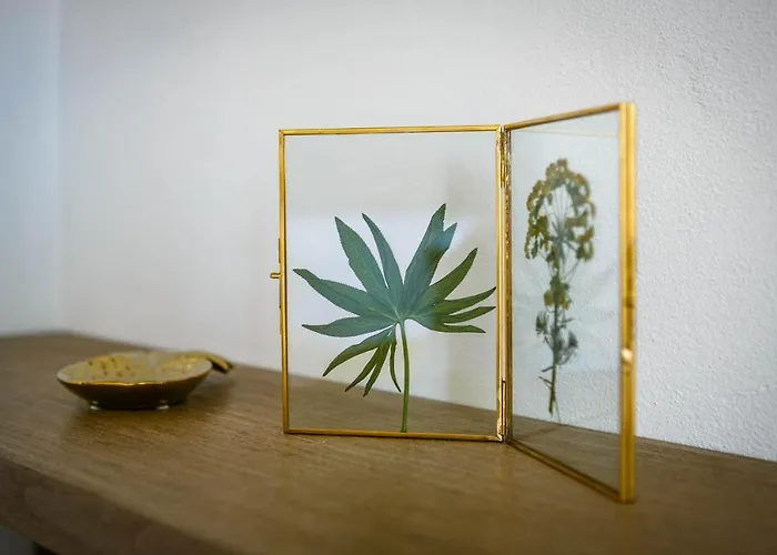 فيلة Heritage Laurel *