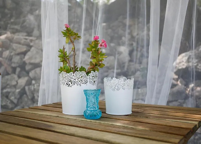 فيلة Heritage Laurel مالينسكا